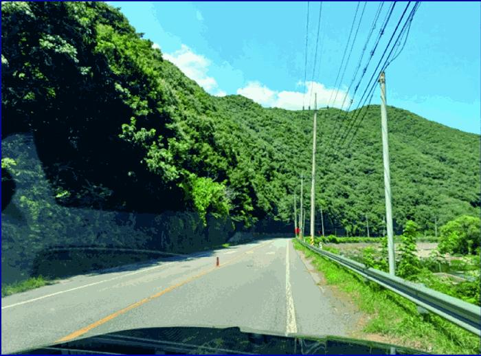 충청남도 부여군 외산면 만수리 산23-1 임야 경매 사진 22