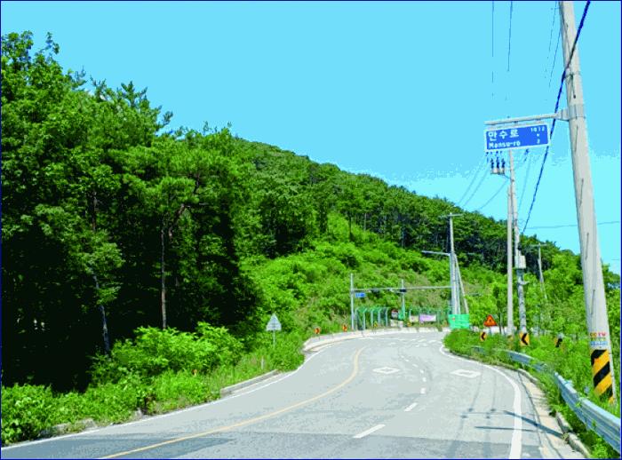충청남도 부여군 외산면 만수리 산23-1 임야 경매 사진 24