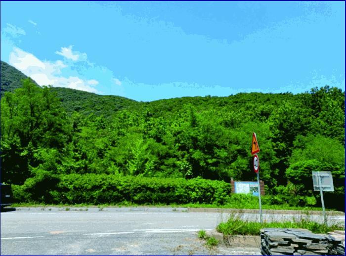 충청남도 부여군 외산면 만수리 산23-1 임야 경매 사진 27