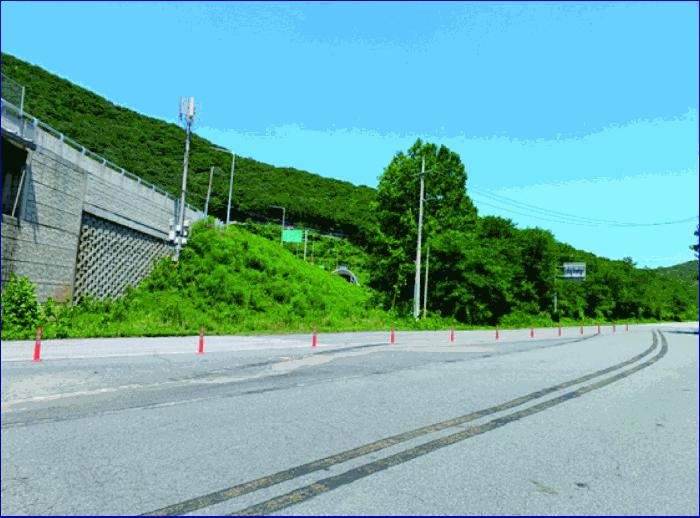 충청남도 부여군 외산면 만수리 산23-1 임야 경매 사진 28