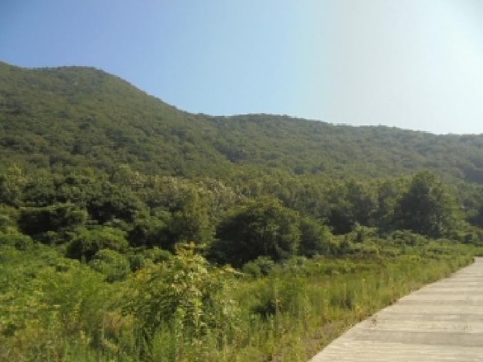 충청남도 부여군 외산면 만수리 산23-1 임야 경매 사진 29
