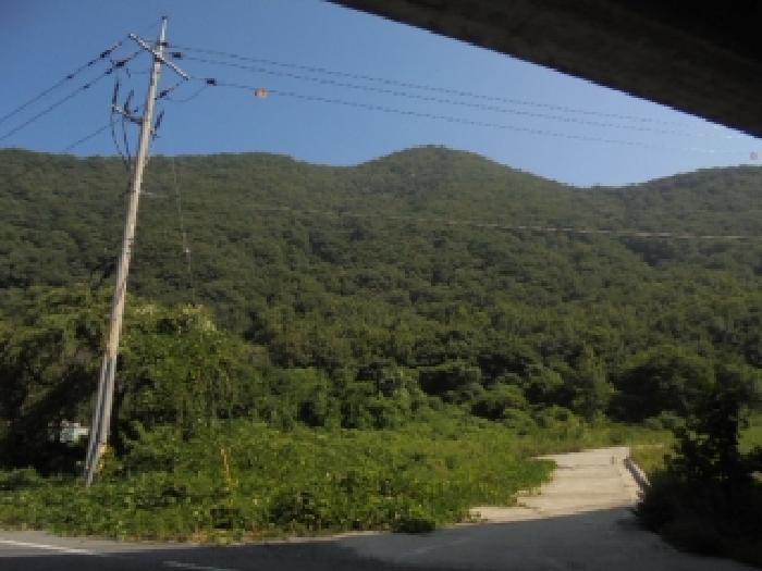 충청남도 부여군 외산면 만수리 산23-1 임야 경매 사진 30