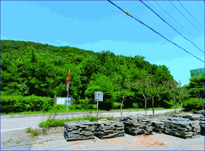 충청남도 부여군 외산면 만수리 산23-1 임야 경매 사진 4