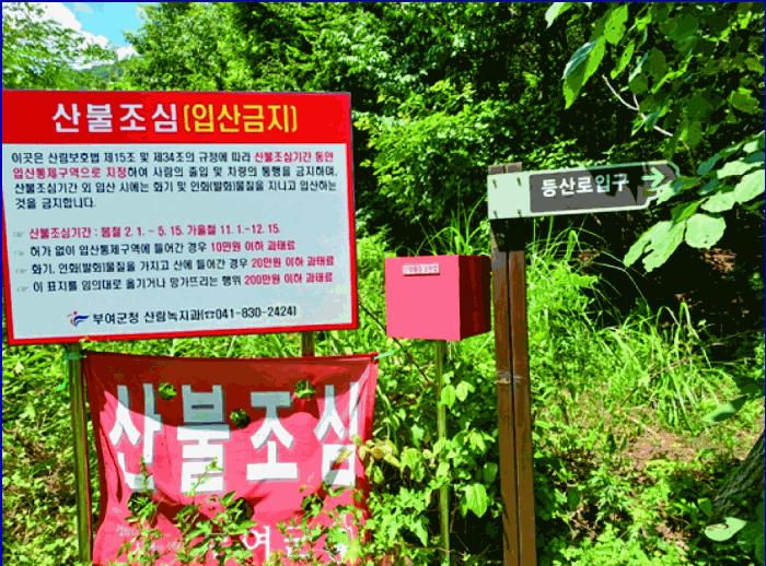 충청남도 부여군 외산면 만수리 산23-1 임야 경매 사진 5
