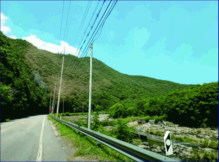 충청남도 부여군 외산면 만수리 산23-1 임야 경매 사진 6