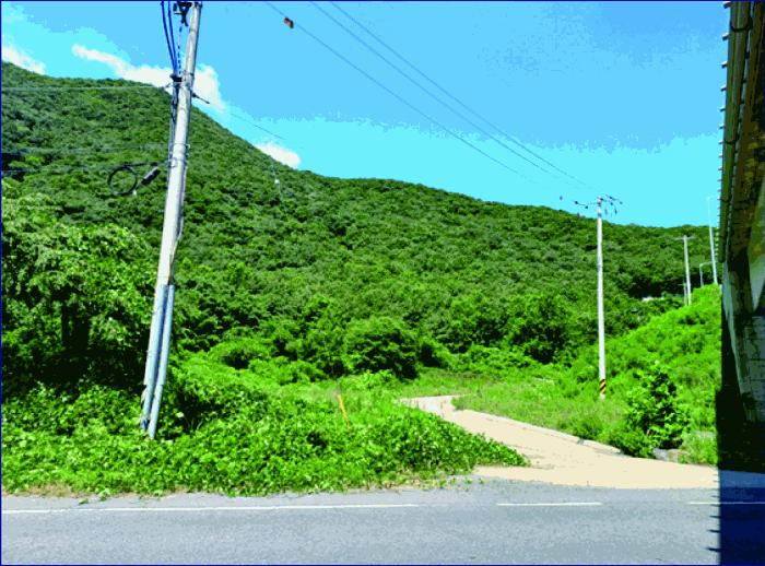 충청남도 부여군 외산면 만수리 산23-1 임야 경매 사진 7