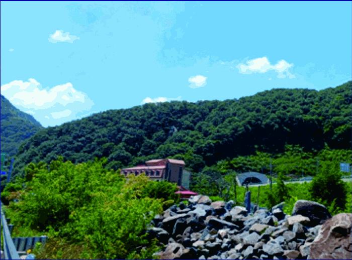 충청남도 부여군 외산면 만수리 산23-1 임야 경매 사진 8