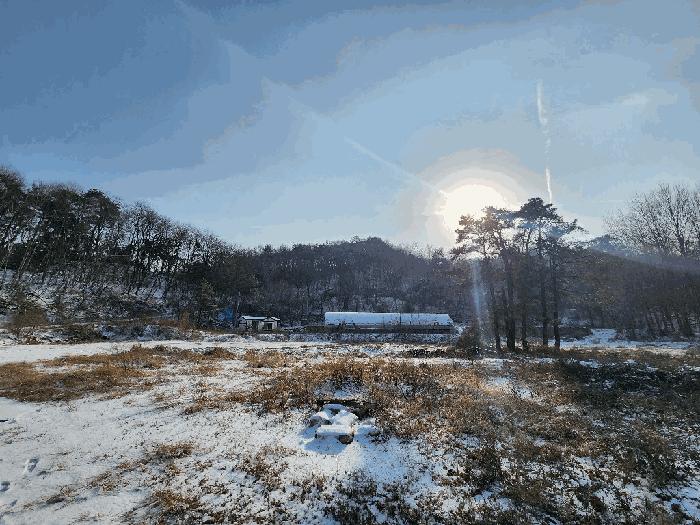 강원특별자치도 원주시 소초면 학곡리 572 임야 경매 사진 3