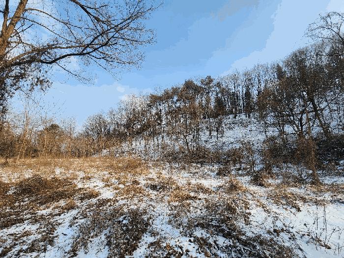 강원특별자치도 원주시 소초면 학곡리 572 임야 경매 사진 6