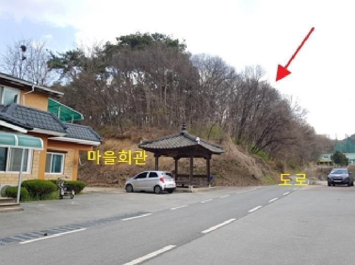 강원특별자치도 횡성군 횡성읍 조곡리 산83 임야 경매 사진 5
