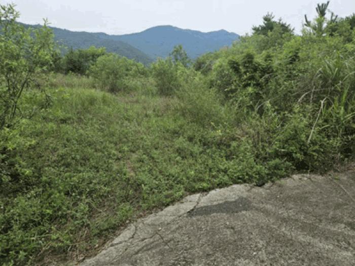 충청남도 천안시 동남구 북면 용암리 288-27 임야 경매 사진 11