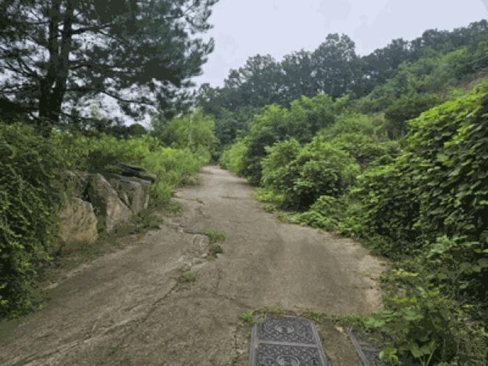 충청남도 천안시 동남구 북면 용암리 288-27 임야 경매 사진 13