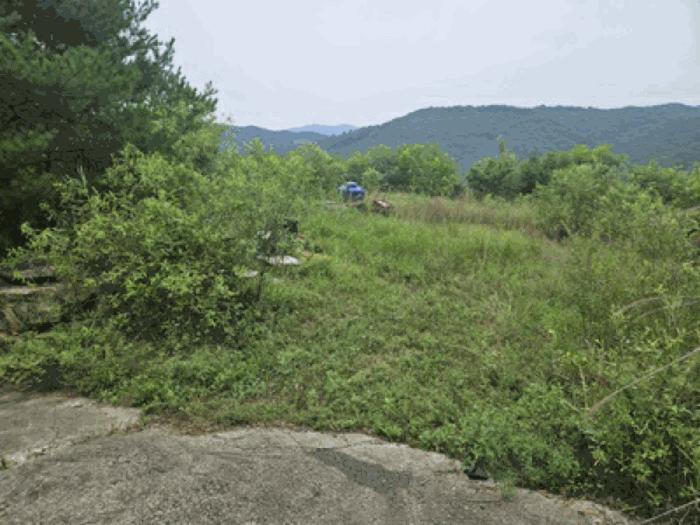 충청남도 천안시 동남구 북면 용암리 288-27 임야 경매 사진 18