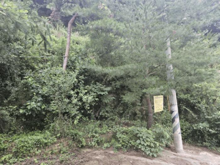 충청남도 천안시 동남구 북면 용암리 288-27 임야 경매 사진 2