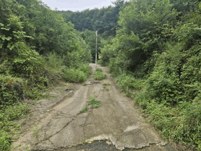 충청남도 천안시 동남구 북면 용암리 288-27 임야 경매 사진 21