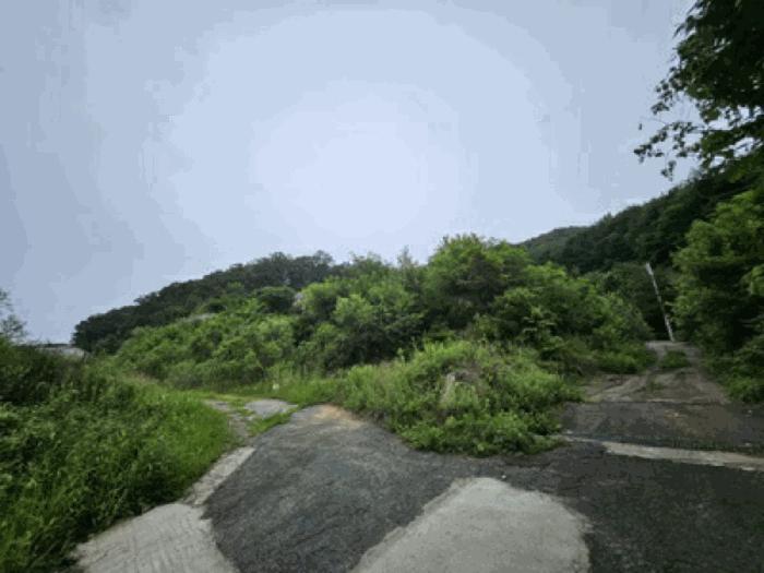 충청남도 천안시 동남구 북면 용암리 288-27 임야 경매 사진 22