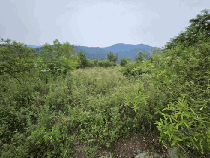 충청남도 천안시 동남구 북면 용암리 288-27 임야 경매 사진 23