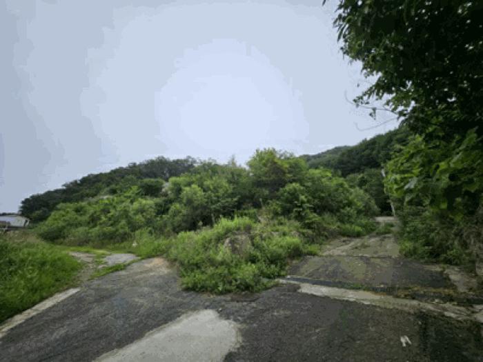 충청남도 천안시 동남구 북면 용암리 288-27 임야 경매 사진 27