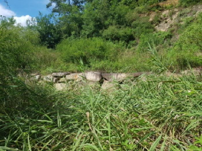 충청남도 천안시 동남구 북면 용암리 288-27 임야 경매 사진 31