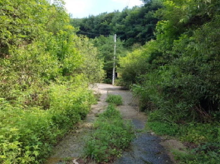 충청남도 천안시 동남구 북면 용암리 288-27 임야 경매 사진 35