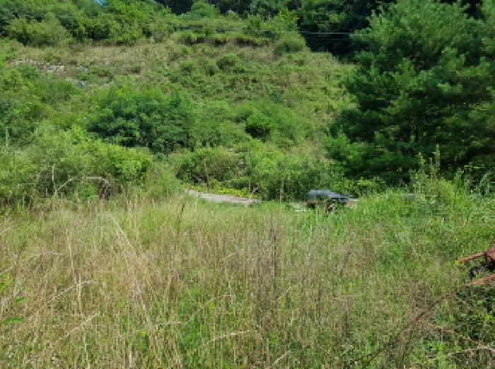 충청남도 천안시 동남구 북면 용암리 288-27 임야 경매 사진 36