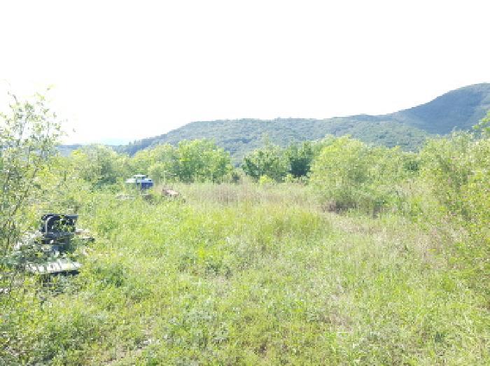 충청남도 천안시 동남구 북면 용암리 288-27 임야 경매 사진 37