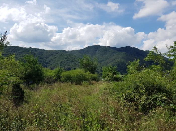 충청남도 천안시 동남구 북면 용암리 288-27 임야 경매 사진 40