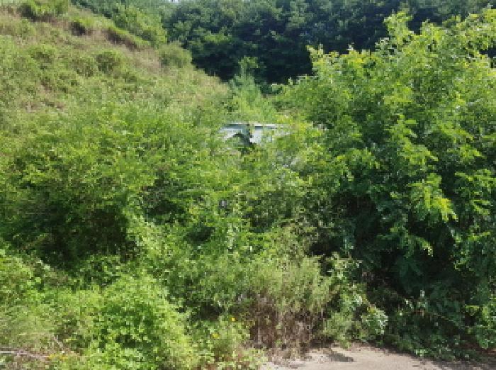 충청남도 천안시 동남구 북면 용암리 288-27 임야 경매 사진 45