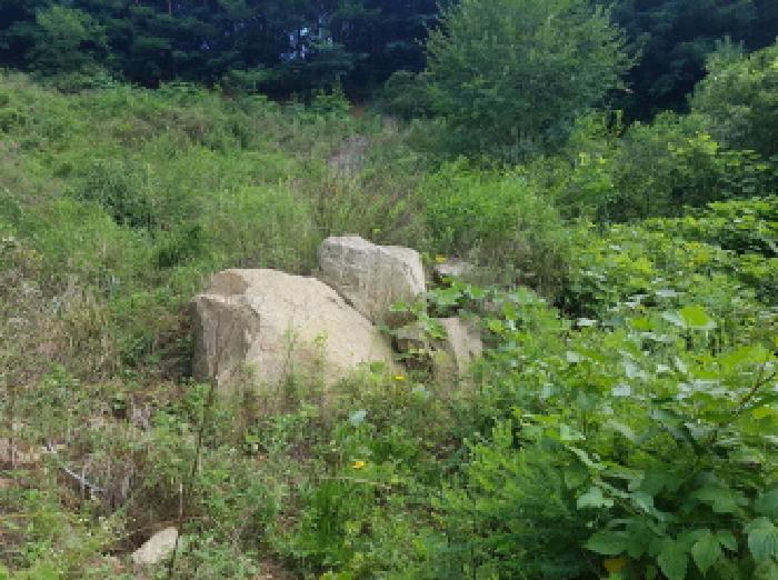 충청남도 천안시 동남구 북면 용암리 288-27 임야 경매 사진 49