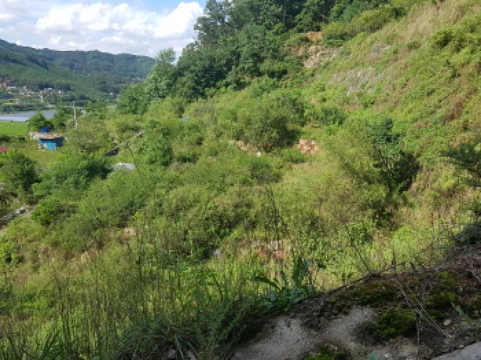 충청남도 천안시 동남구 북면 용암리 288-27 임야 경매 사진 57