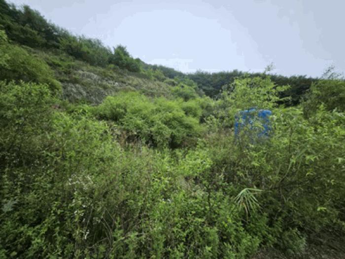 충청남도 천안시 동남구 북면 용암리 288-27 임야 경매 사진 7