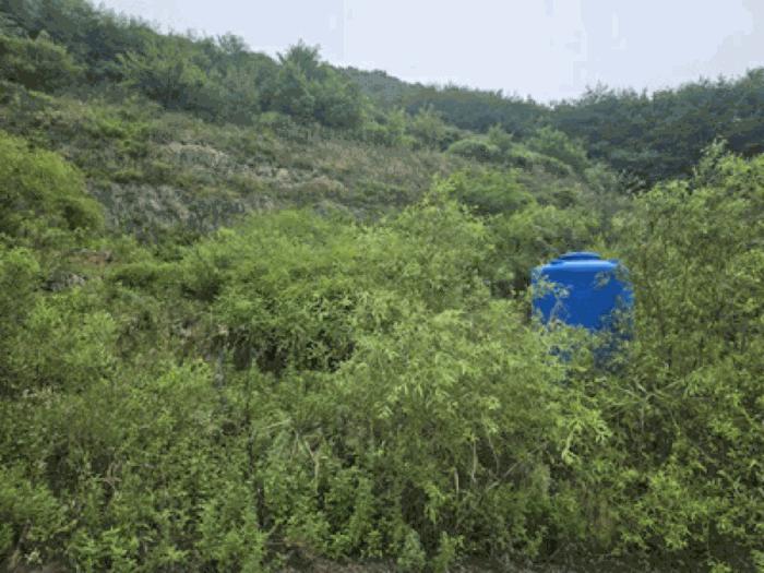 충청남도 천안시 동남구 북면 용암리 288-27 임야 경매 사진 8