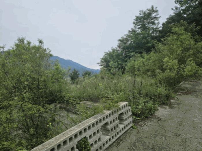 충청남도 천안시 동남구 북면 용암리 288-27 임야 경매 사진 9