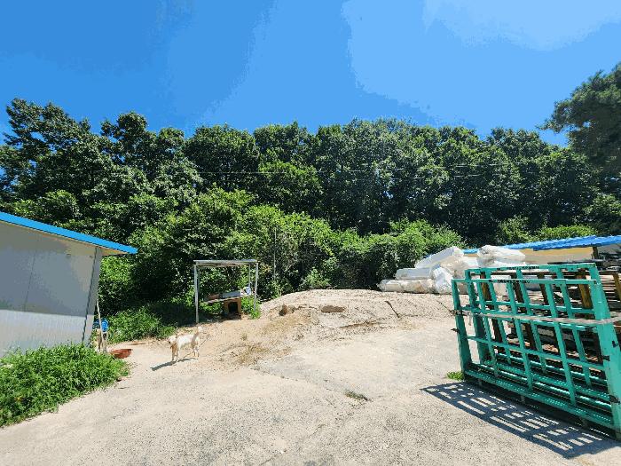 충청북도 충주시 중앙탑면 가흥리 541 답 경매 사진 4