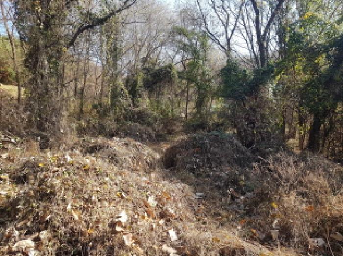 충청남도 천안시 동남구 목천읍 교천리 42 답 경매 사진 11