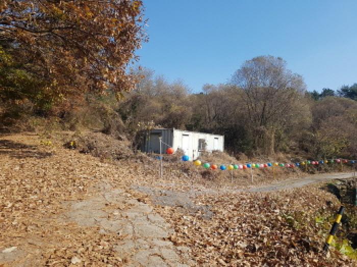 충청남도 천안시 동남구 목천읍 교천리 42 답 경매 사진 3