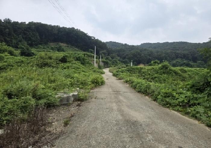 충청북도 음성군 삼성면 용성리 552-12 전 경매 사진 10