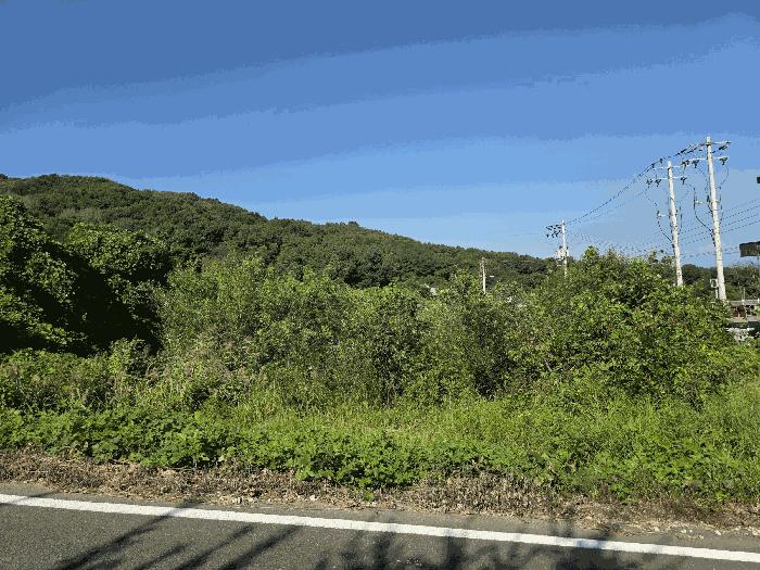 충청북도 음성군 삼성면 용성리 552-12 전 경매 사진 2