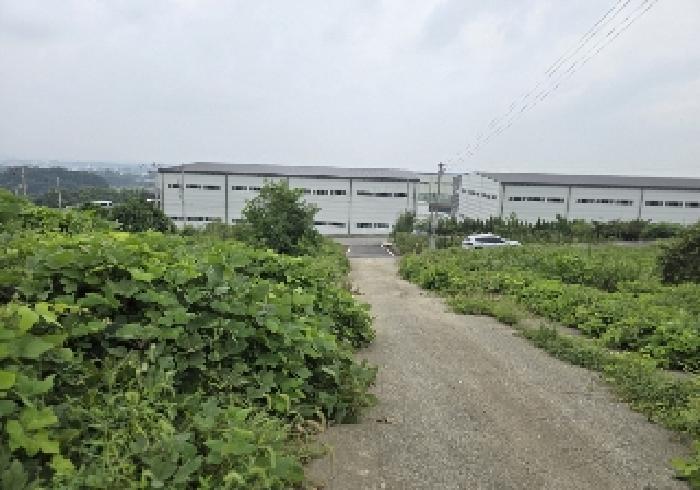 충청북도 음성군 삼성면 용성리 552-12 전 경매 사진 7
