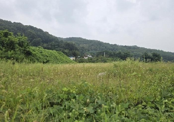 충청북도 음성군 삼성면 용성리 552-12 전 경매 사진 8
