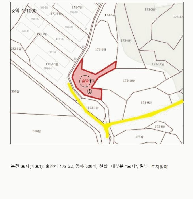충청북도 음성군 금왕읍 호산리 173-22 임야 경매 사진 11