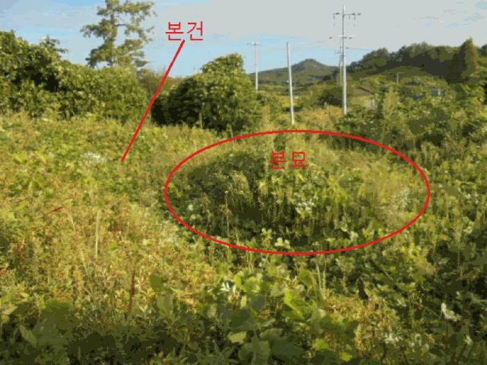 충청북도 음성군 금왕읍 호산리 173-22 임야 경매 사진 2