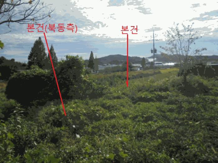 충청북도 음성군 금왕읍 호산리 173-22 임야 경매 사진 3