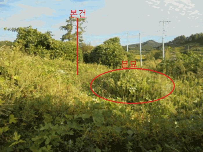 충청북도 음성군 금왕읍 호산리 173-22 임야 경매 사진 4