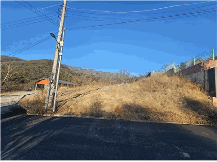 대구광역시 동구 진인동 산203-6 임야 경매 사진 1