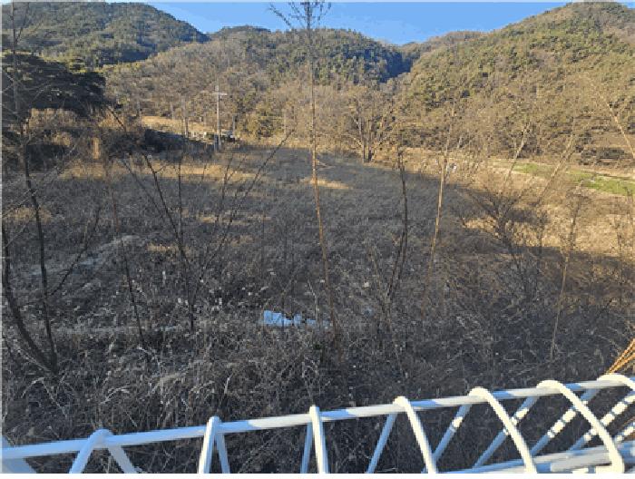 대구광역시 동구 진인동 산203-6 임야 경매 사진 10