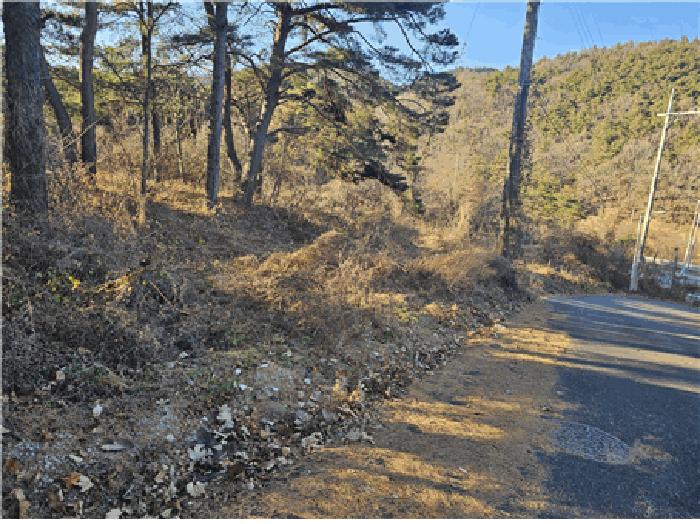 대구광역시 동구 진인동 산203-6 임야 경매 사진 12