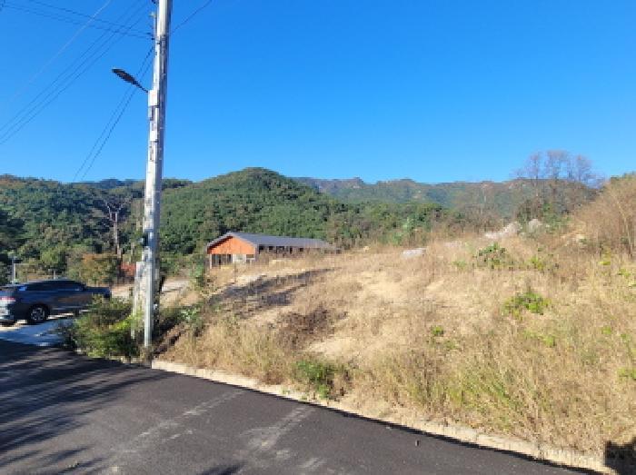 대구광역시 동구 진인동 산203-6 임야 경매 사진 16