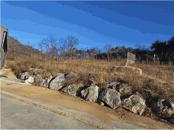 대구광역시 동구 진인동 산203-6 임야 경매 사진 2