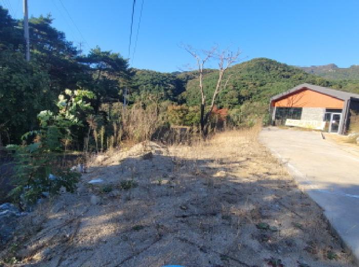 대구광역시 동구 진인동 산203-6 임야 경매 사진 24